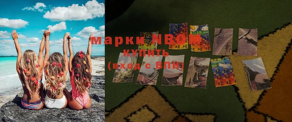 хмурый Алексин
