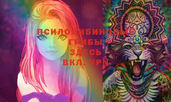 хмурый Алексин