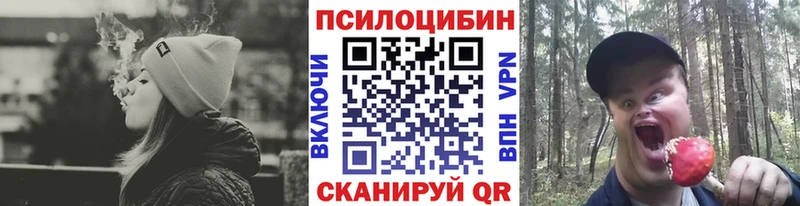 Псилоцибиновые грибы GOLDEN TEACHER  купить закладку  Ахтырский 